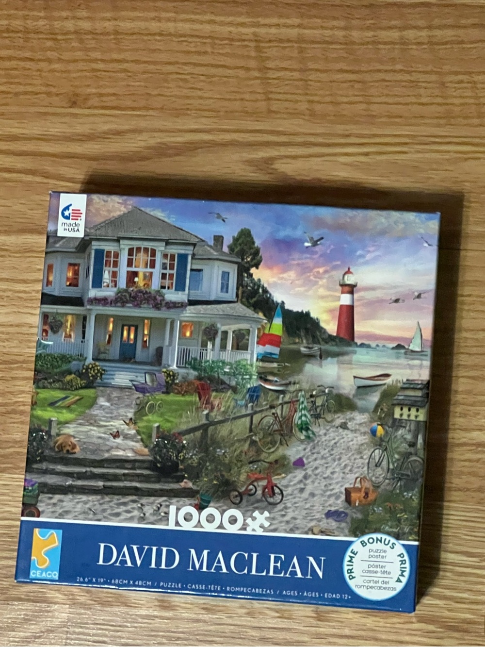1000 piece Ceaco David Maclean beach 43370 26x 19 puzzle